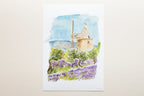 Moulin & lavandes en Luberon
