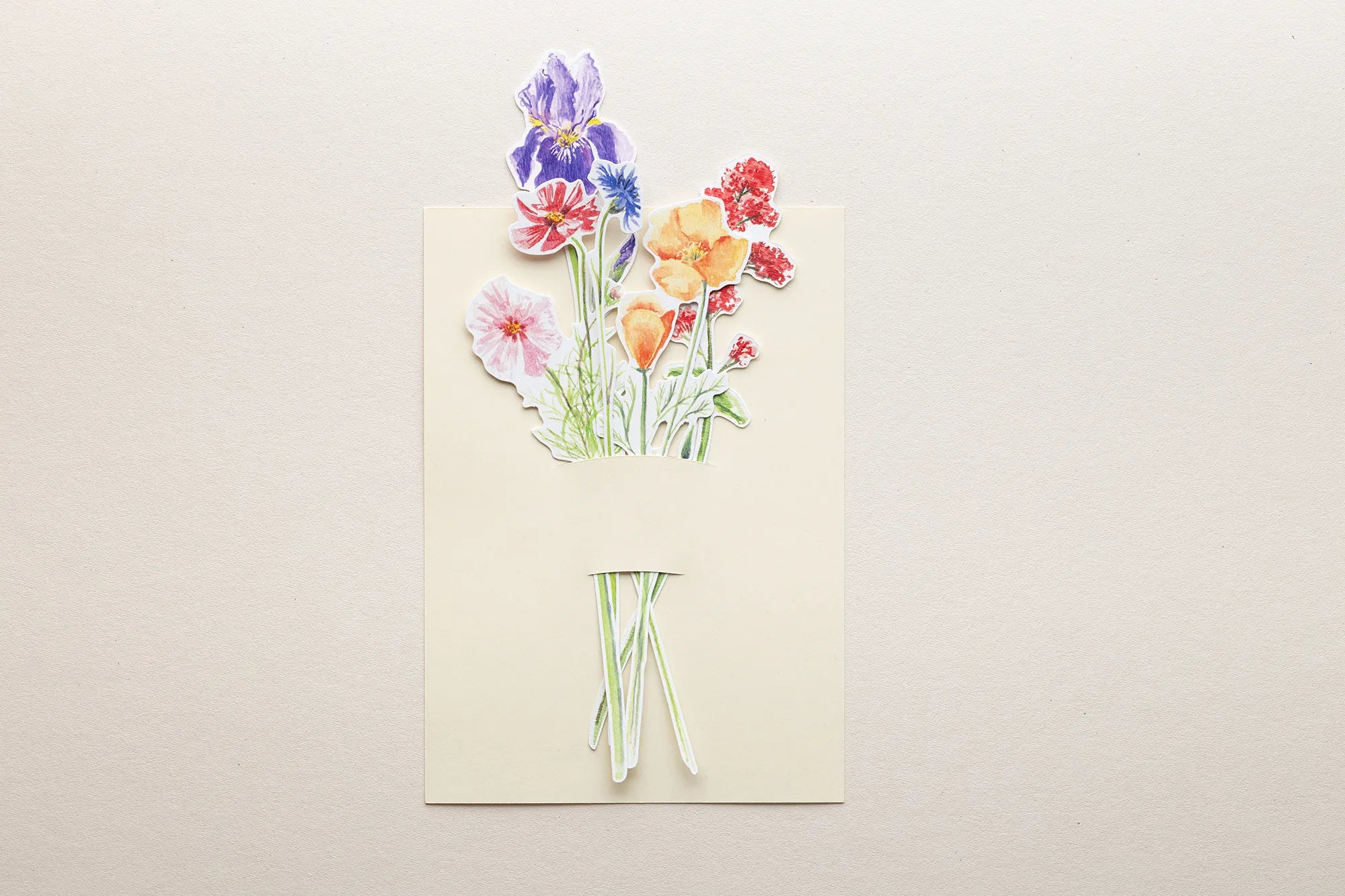 Bouquet des chemins 🌸