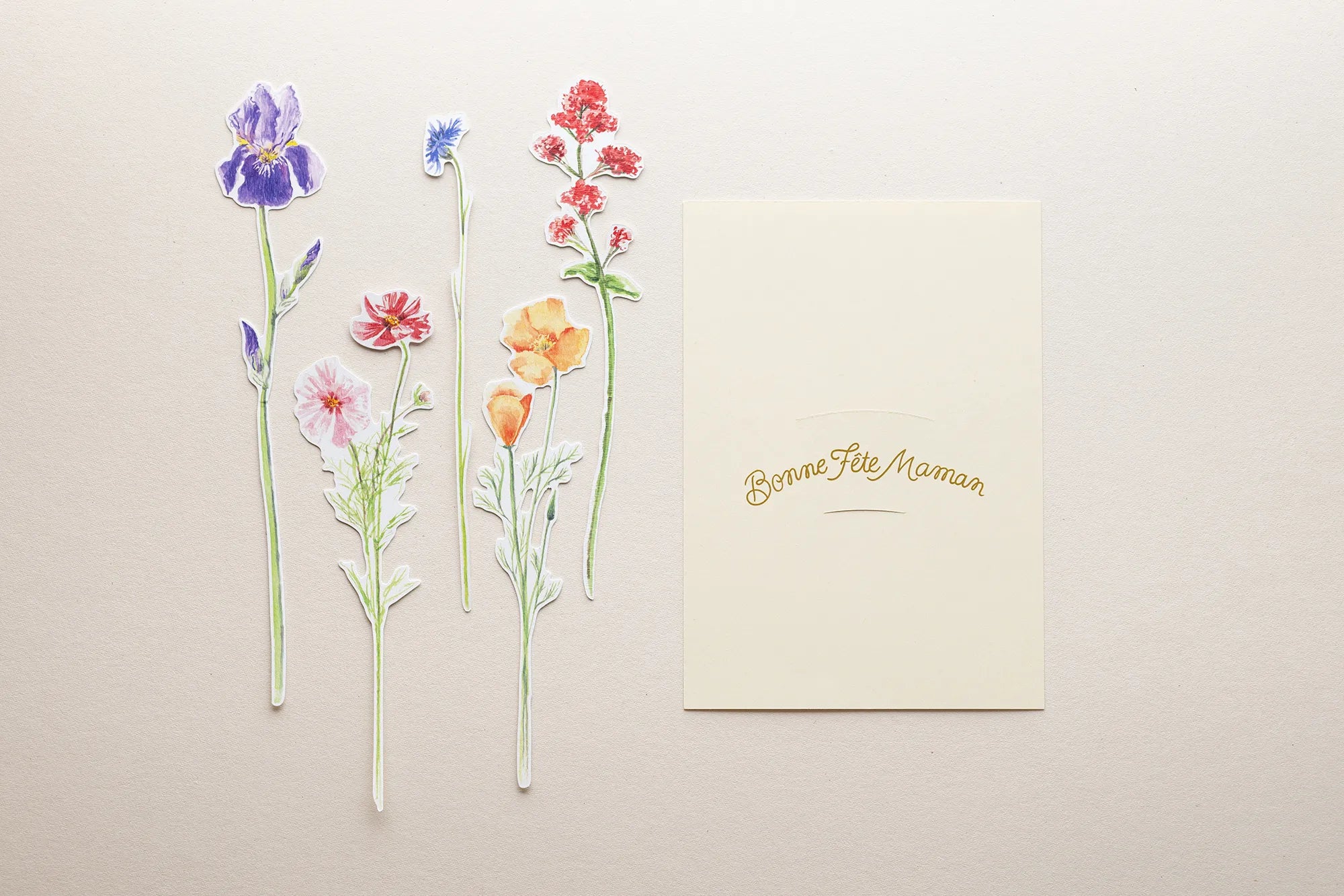 Bouquet des chemins 🌸