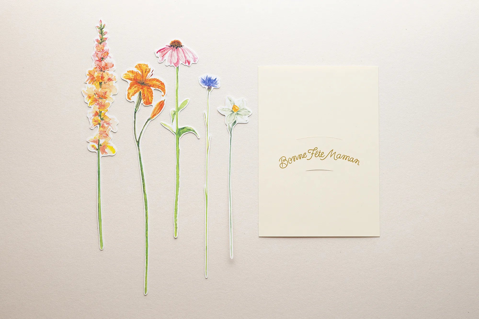 Bouquet du jardin 🪴